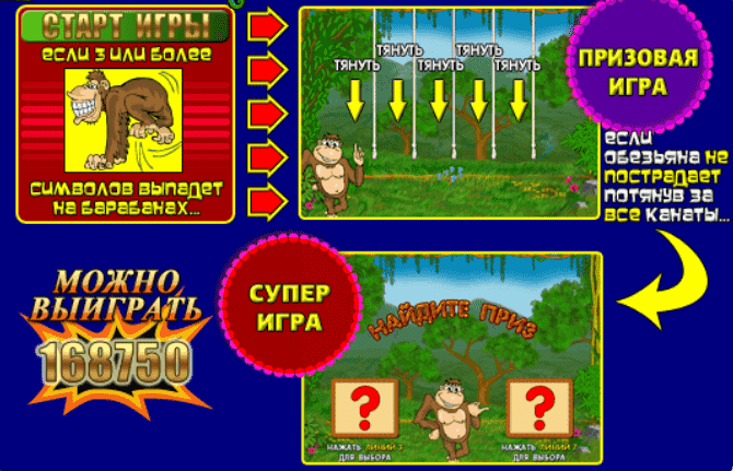 Бонус в автомате Обезьянки